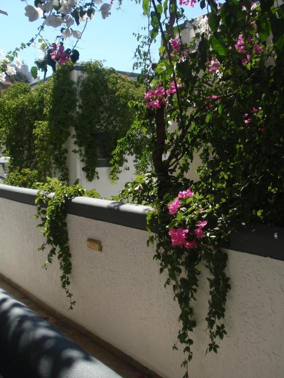 Fevro Hotel Agia Galini Стая снимка