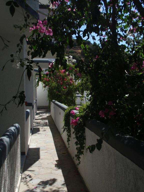 Fevro Hotel Agia Galini Стая снимка
