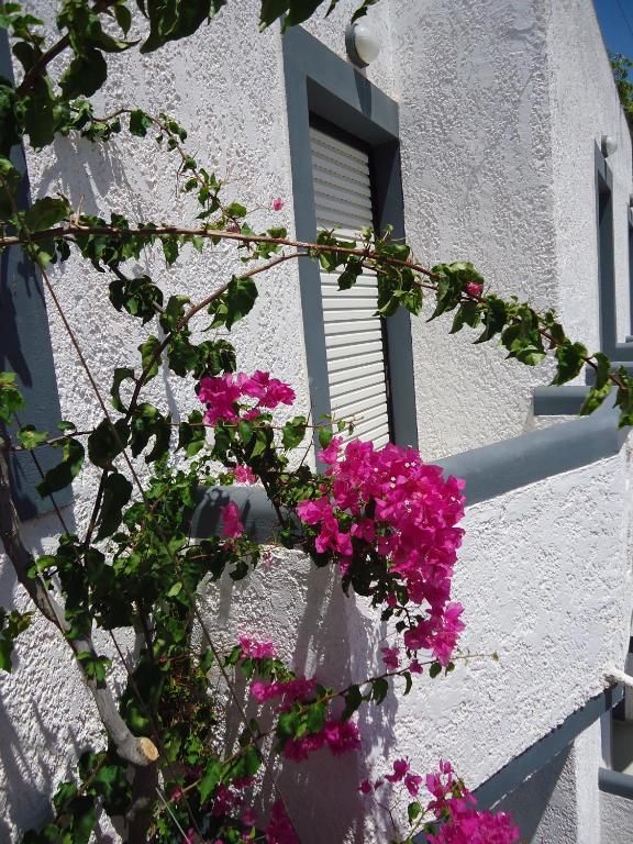 Fevro Hotel Agia Galini Екстериор снимка